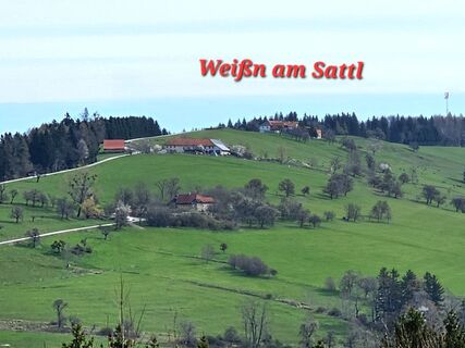 Foto de Grieshofer Gerlinde a lo largo del recorrido