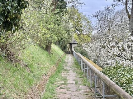 Photo de Norbert Herbig le long du parcours