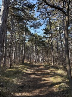 Foto von Kurz und gut Unsere Familiennotizen entlang der Tour