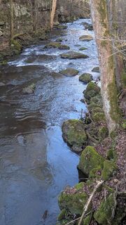 Foto von hochlandfamilie entlang der Tour