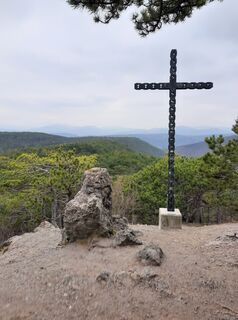 Foto de Willehad a lo largo del recorrido