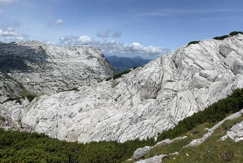 Foto von Flink entlang der Tour