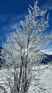 Fotografie z Knixx Box na trase