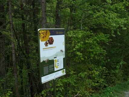 Bienenlehrpfad