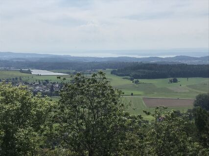 Photo de Annette Manz le long du parcours