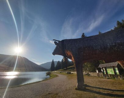 Teichalmsee_Ochse_Oststeiermark