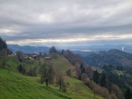 Photo de Grizli le long du parcours