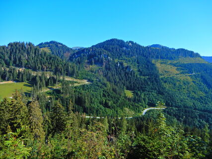 Niederalpl - Hohe Veitsch - Seewiesen