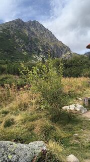Foto de Mariia Krushelnytska-Kostei a lo largo del recorrido