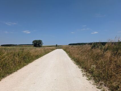 Foto de Herve Andeler a lo largo del recorrido