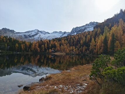 Fotografija s spletne strani Herbert Schrattenecker na poti