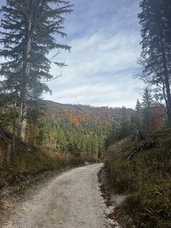 Fotografija s spletne strani tabaszabi na poti