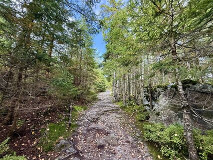 Photo de Natur_erleben_dg le long du parcours