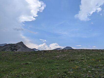 Foto de BettiKreibiehl a lo largo del recorrido