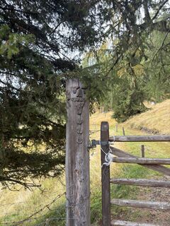 Foto von Birgit entlang der Tour