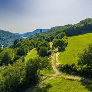 Der Preußensteig