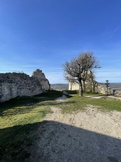 Fotografija s spletne strani Zsolt Szalay na poti