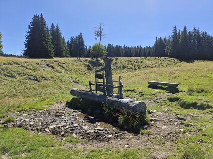 Foto da Walter Edelhofer lungo il tour