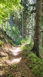 Foto von Juliane entlang der Tour