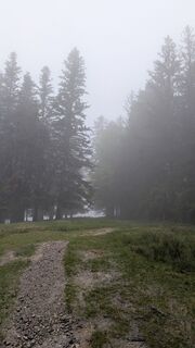 Foto de Thomas Heß a lo largo del recorrido