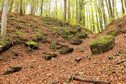 Alter Schulweg | Mountainbiketour IVB MTB 5 | Wüstenrot | HeilbronnerLand