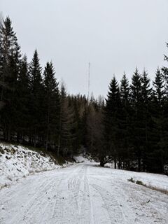 Fotografija s spletne strani Stefan Tesch na poti