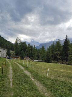 Foto da Anna Krizhanovska lungo il tour
