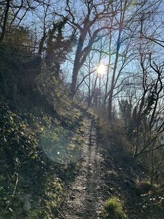 Foto da Andreas Mader lungo il tour