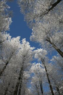 Winterland