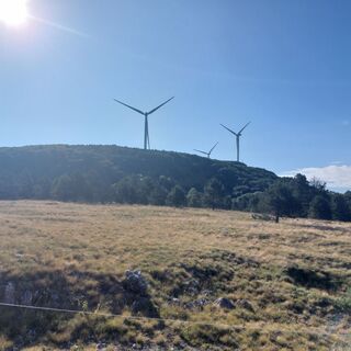 Foto von e.kaufmann entlang der Tour