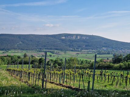 Fotografia z Claudia Maurer na trase