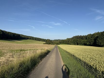 Photo de Marius Czerny le long du parcours