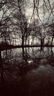 Fotografija s spletne strani ROBERTO BONIOTTI na poti