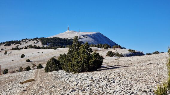 Foto de Fabrizi Mellano a lo largo del recorrido