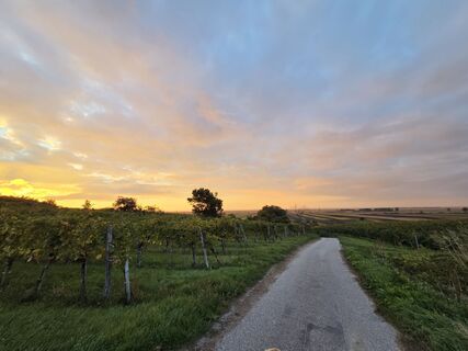 Kuva osoitteesta Thomas Hillinger matkan varrella