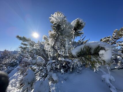 Zdjęcie z Natur_erleben_dg wzdłuż trasy