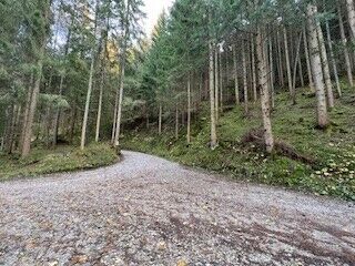 Treffenthalerrunde_Heidi Kainer.jpg