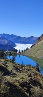 Fotografija s spletne strani Ineswanki na poti