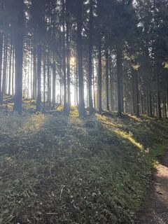 Photo de Phibsi Sondermann le long du parcours