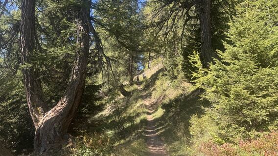 Foto von peter_oe entlang der Tour