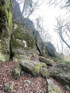 Photo de Elena P. le long du parcours