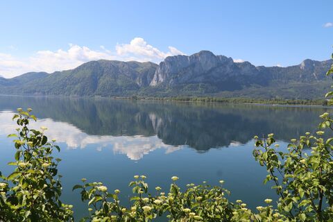 Fotografia z Bernard na trase