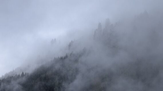 Fotografija s spletne strani Klaus Lehner na poti