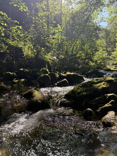 Foto von Nadine Ruttenstock entlang der Tour