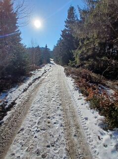Foto von Daniel Kremiec entlang der Tour