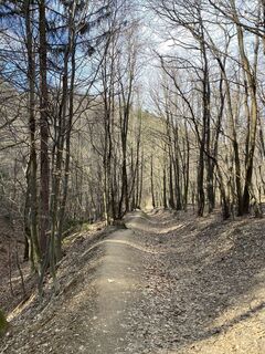 Photo de Alt Judit le long du parcours