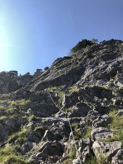 Fotografia z skibbeldiwapwap na trase