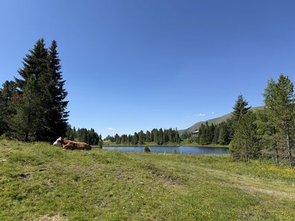 Titelfoto: Almidyll am Drei-Seen-Weg, hier beim Schwarzsee, dem zweiten der Drei Seen auf der Turracher Höhe
