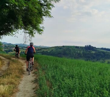 Hügel um Chieri (TO)