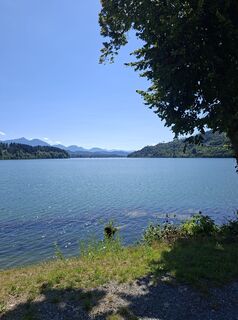Foto von Mangolein entlang der Tour